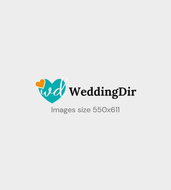 Udaipur Wedding Venues Listing Category A-Line
