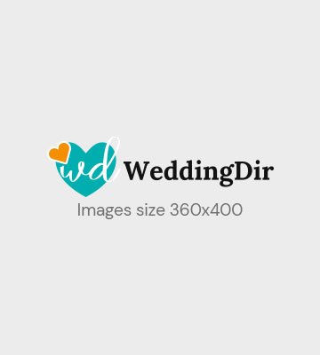 Udaipur Wedding Venues Hitesh Mahavar CEO And Founder Team Designation
